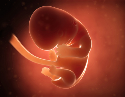 Таблица изменений в организме во время беременности: