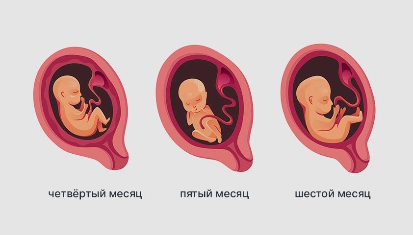 Какие анализы на мутации при беременности можно сдать?